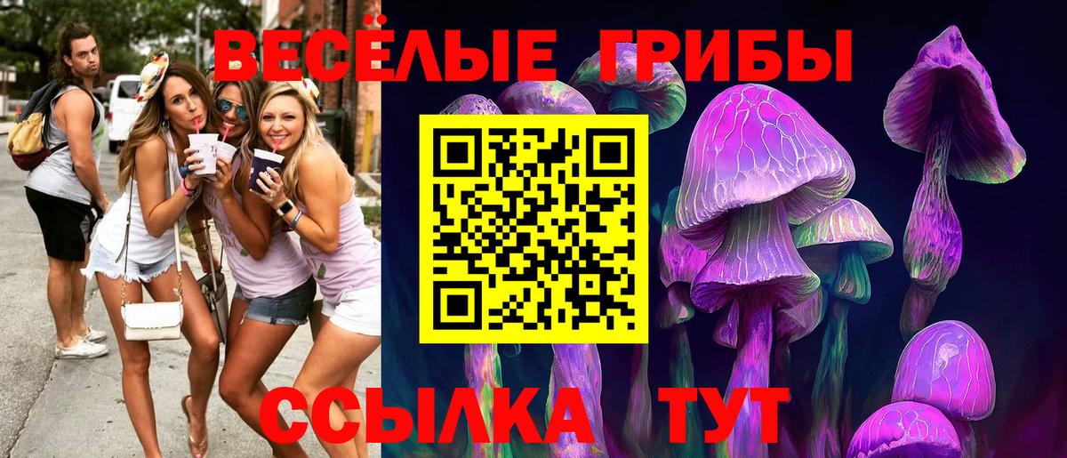 где найти   Вход с VPN  Краснотурьинск  Галлюциногенные грибы мухоморы 